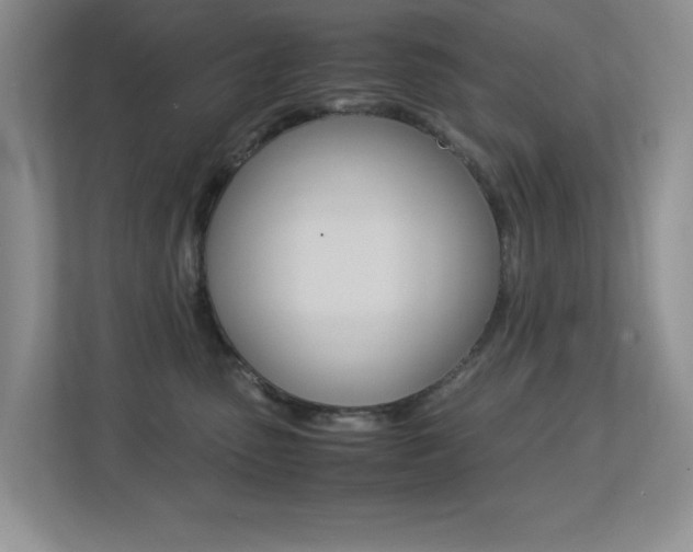 X0000113250475200909100946