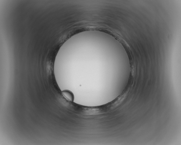 X0000113250476200909100946