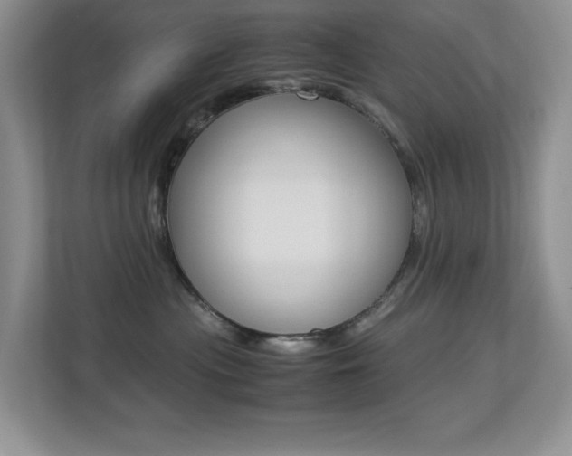 X0000113250477200909100946