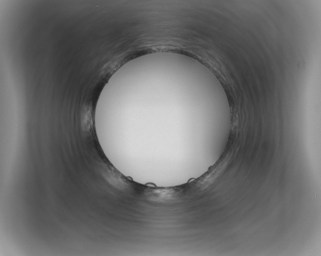X0000113250478200909100946