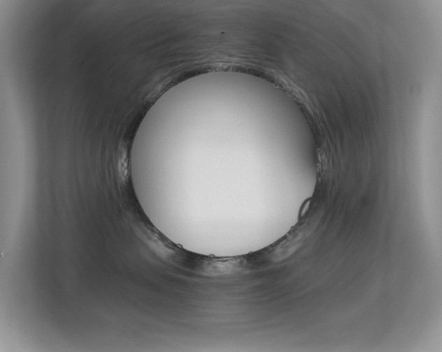 X0000113250479200909100946