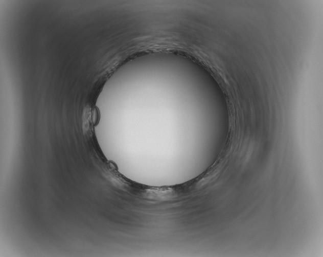 X0000113250480200909100946