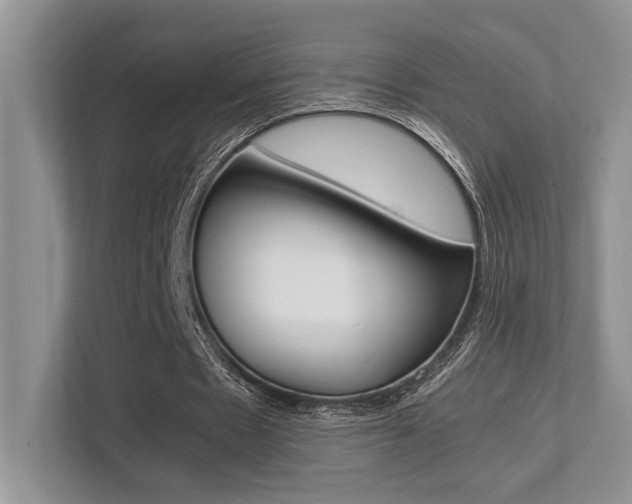 X0000113250481200909100946