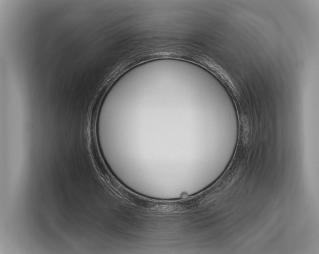 X0000113250482200909100946
