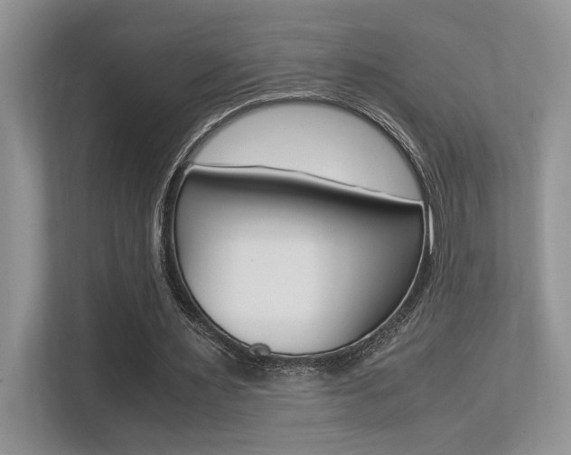 X0000113250483200909100946