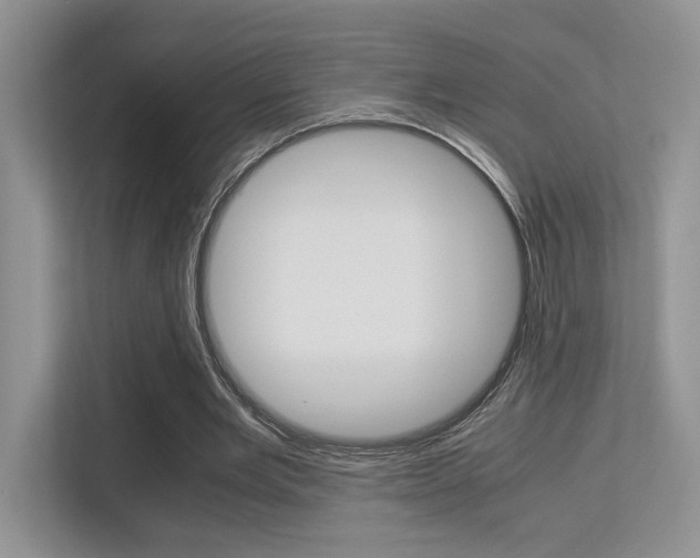 X0000113250485200909100946