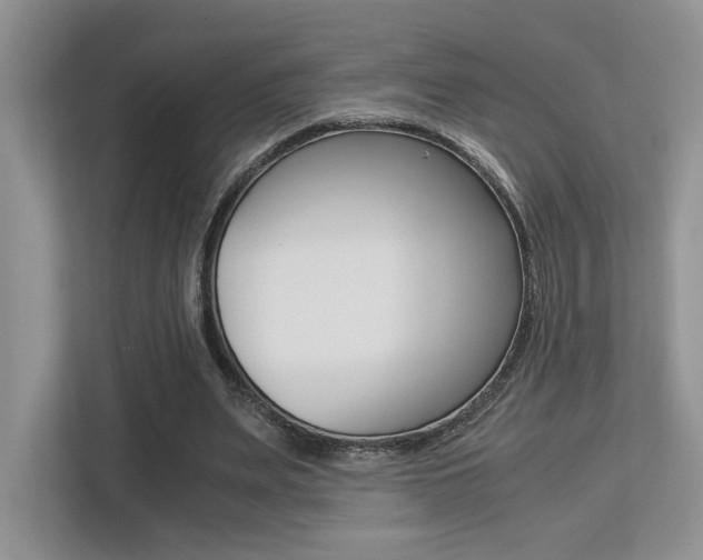 X0000113250487200909100946