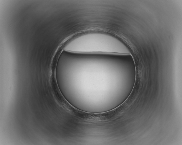X0000113250488200909100946