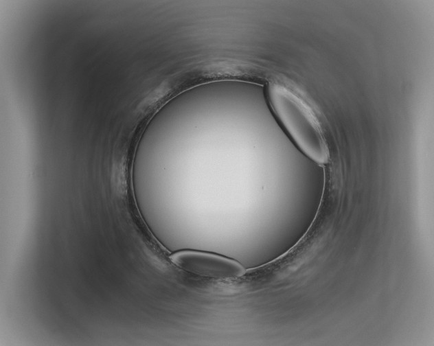 X0000113250489200909100946