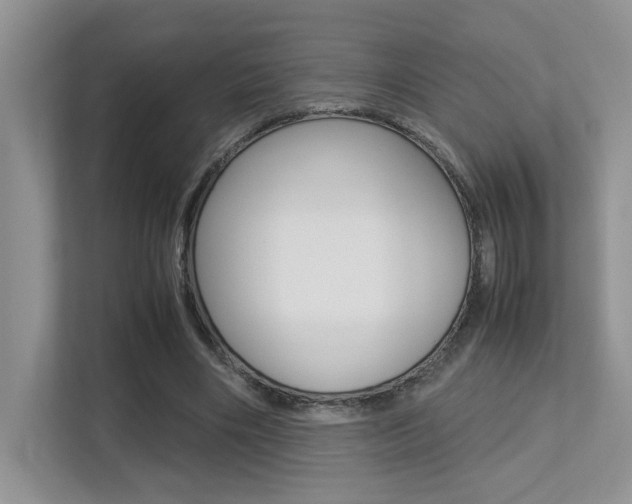 X0000113250490200909100946