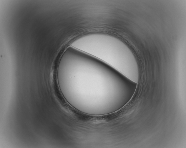 X0000113250491200909100946