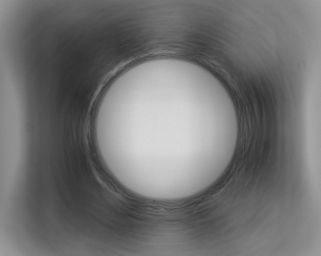 X0000113250492200909100946