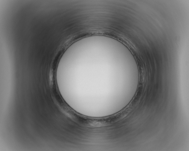 X0000113250494200909100946