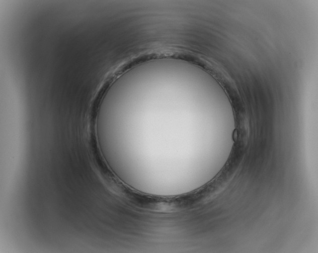X0000113250496200909100945