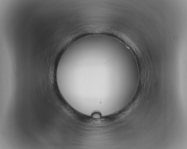 X0000113250497200909100945