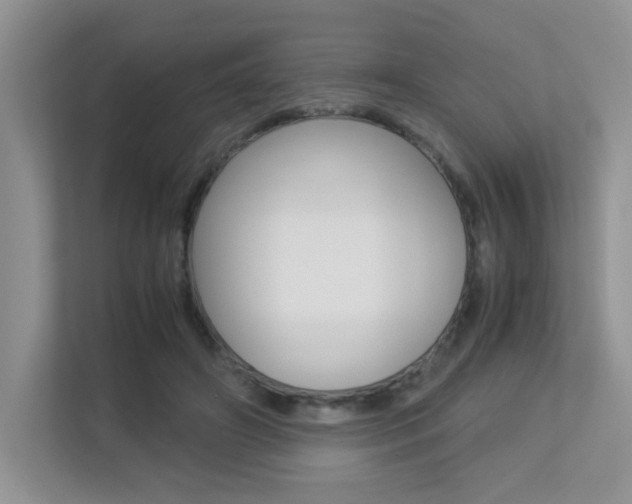 X0000113250498200909100945