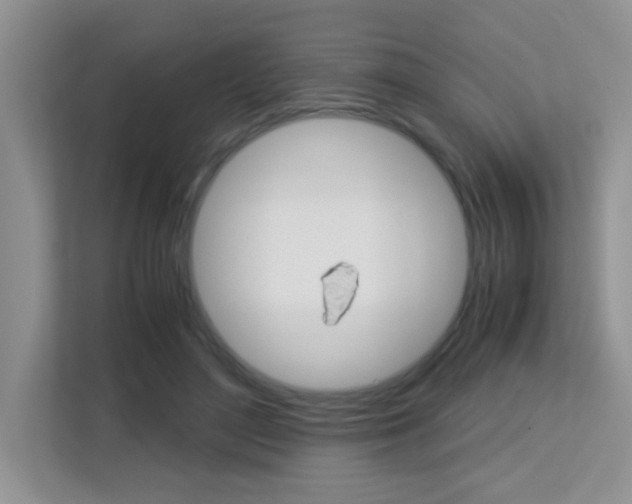 X0000113250500200909100945