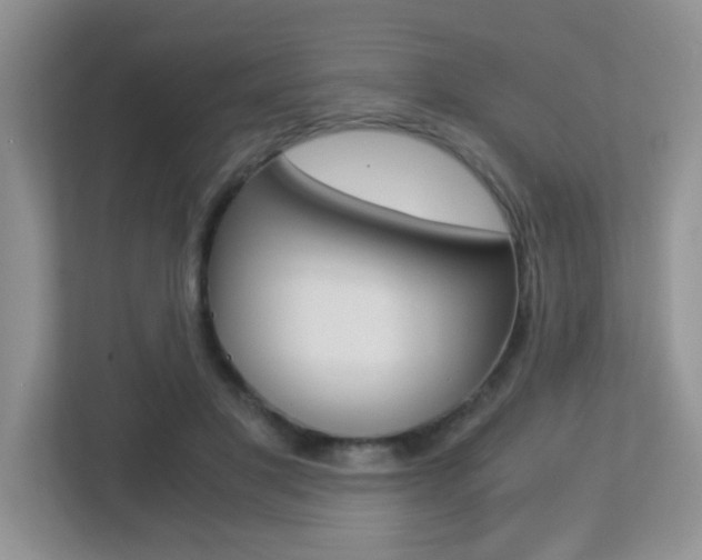 X0000113250501200909100945