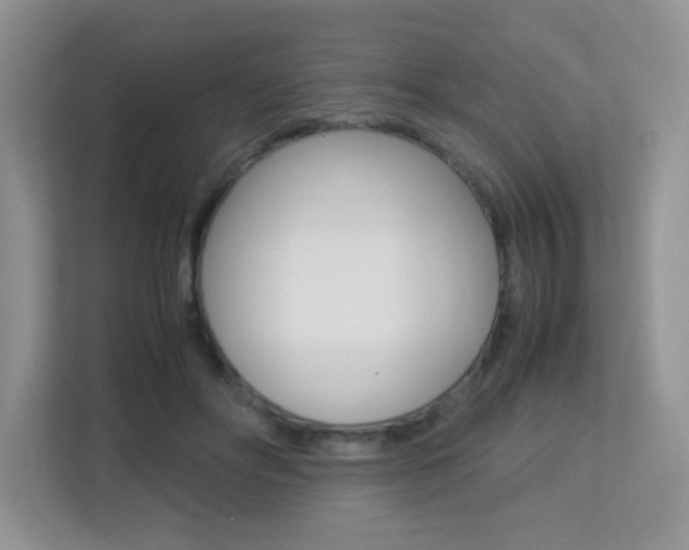 X0000113250502200909100945