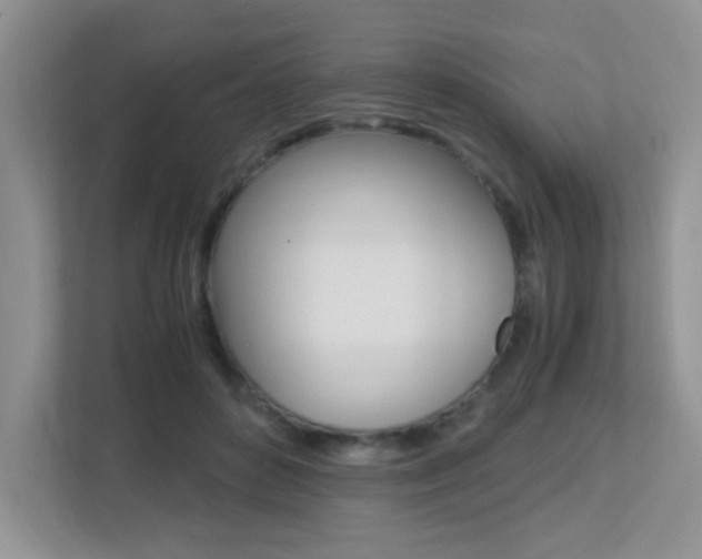X0000113250504200909100945