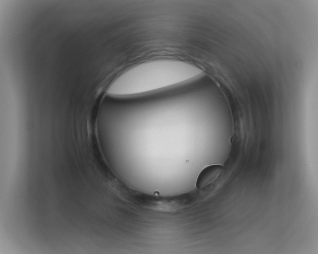 X0000113250508200909100945