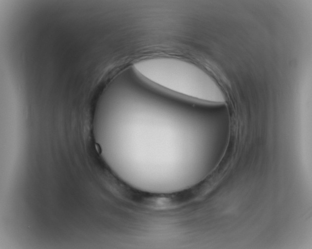X0000113250509200909100945