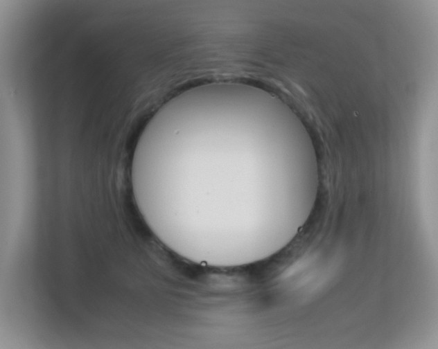 X0000113250515200909100945