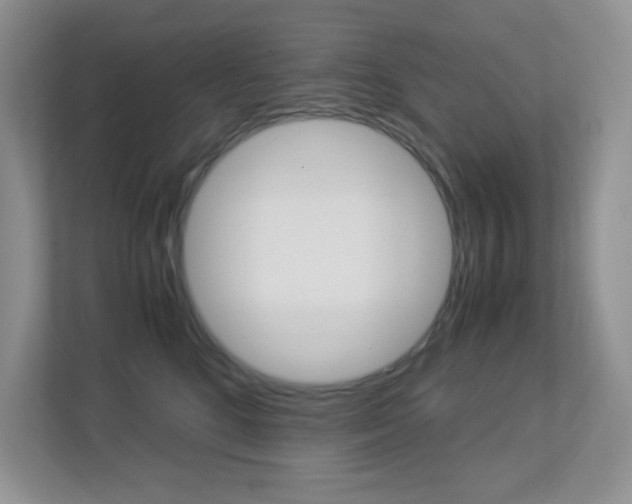 X0000113250520200909100945