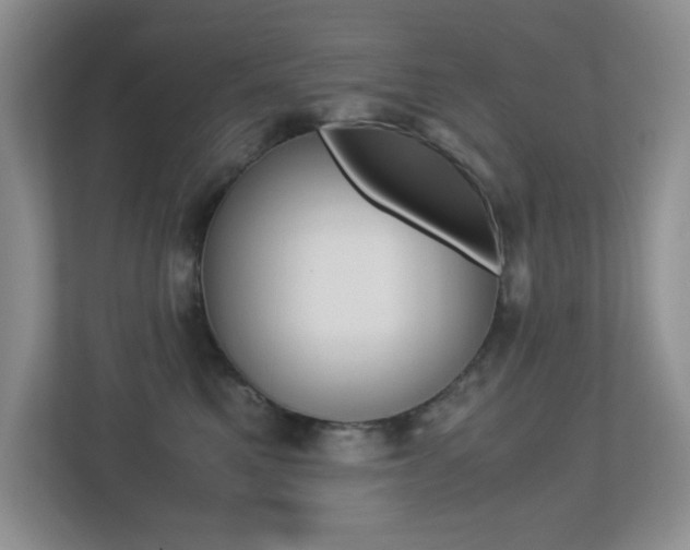 X0000113250521200909100945