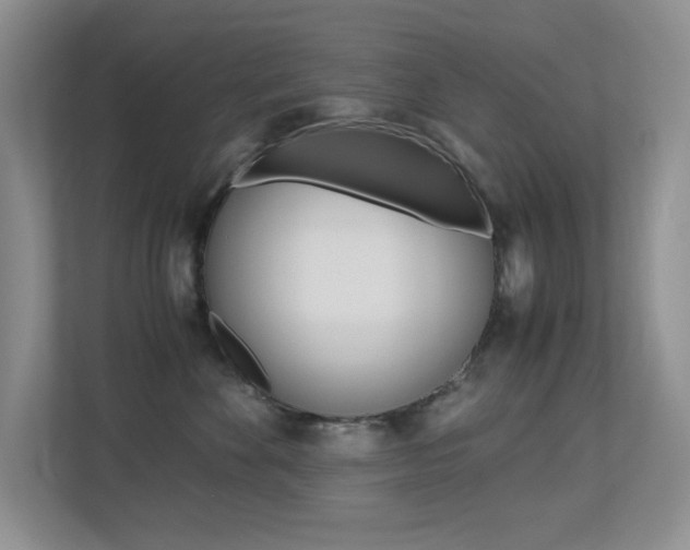 X0000113250524200909100945