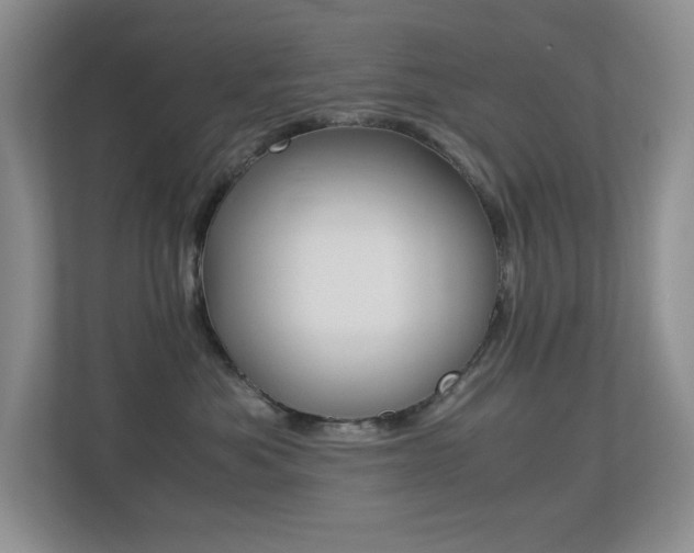 X0000113250525200909100945
