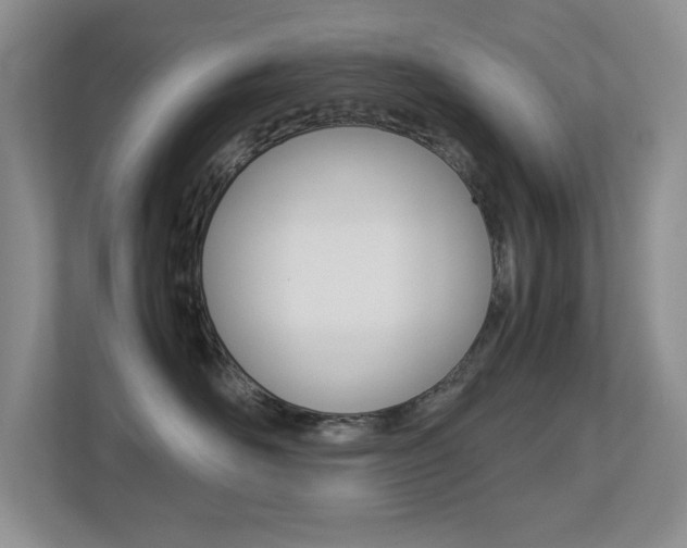 X0000113250526200909100945