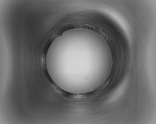 X0000113250527200909100945