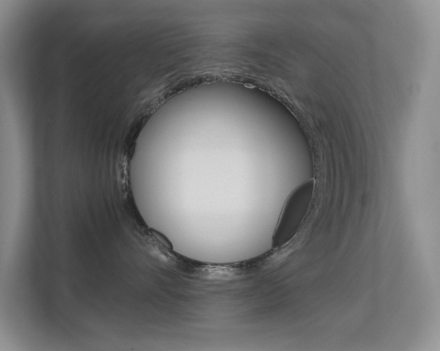 X0000113250528200909100945