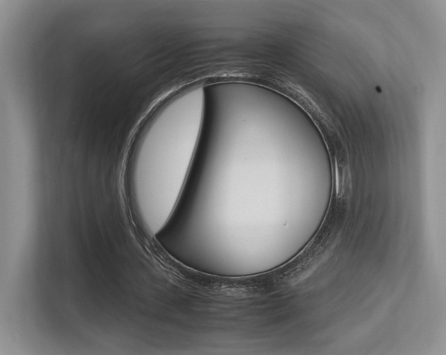X0000113250531200909100944