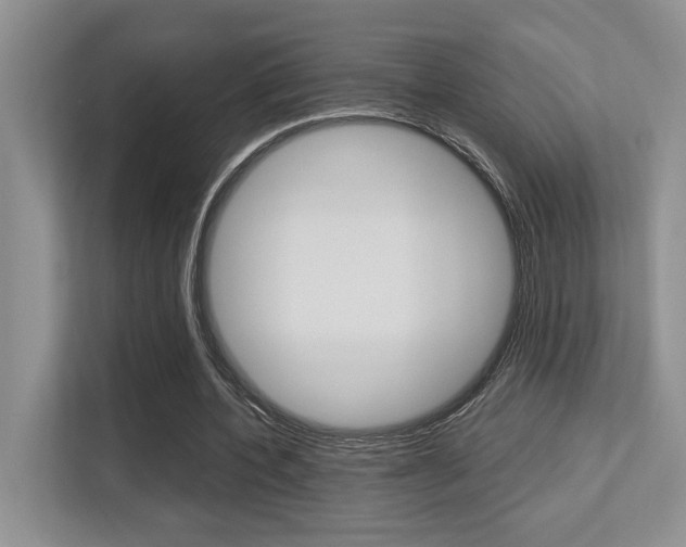 X0000113250532200909100944