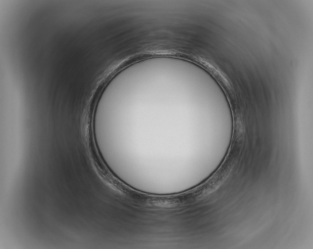 X0000113250533200909100944