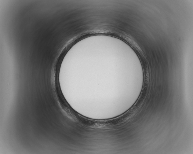 X0000113250534200909100945
