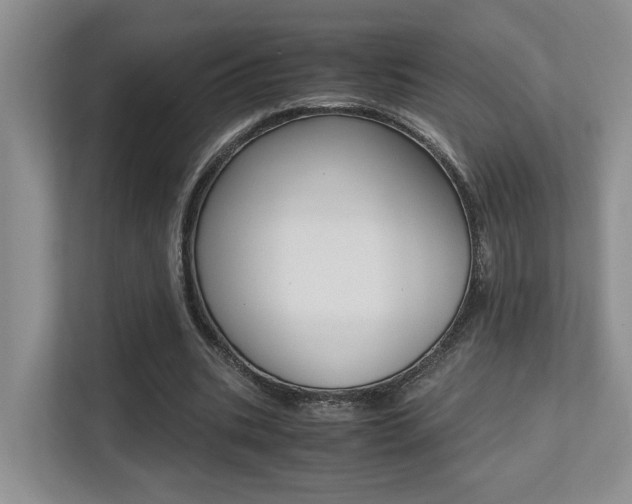 X0000113250535200909100945