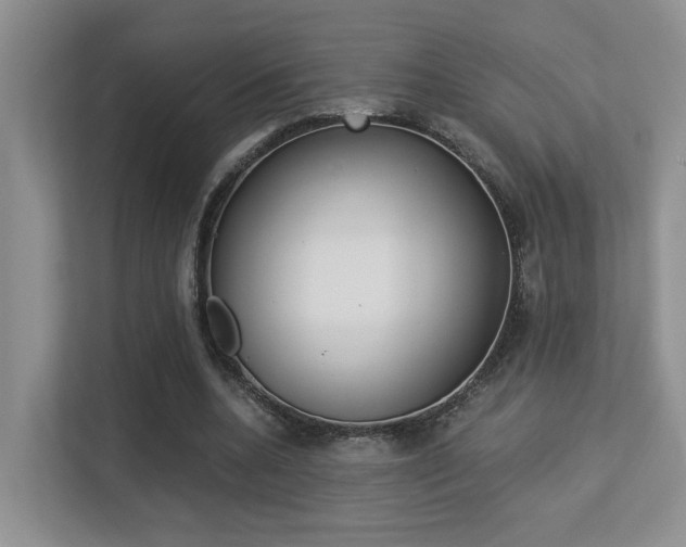 X0000113250536200909100945
