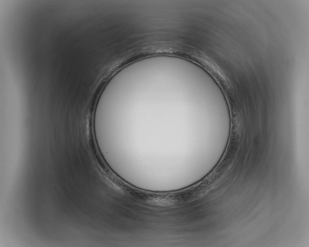 X0000113250537200909100945