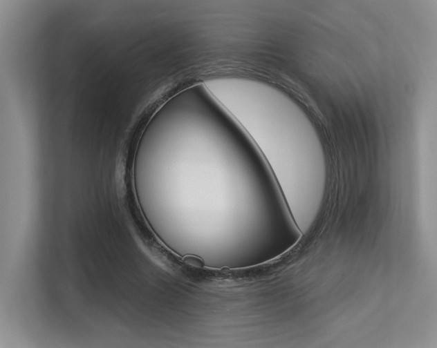 X0000113250538200909100945