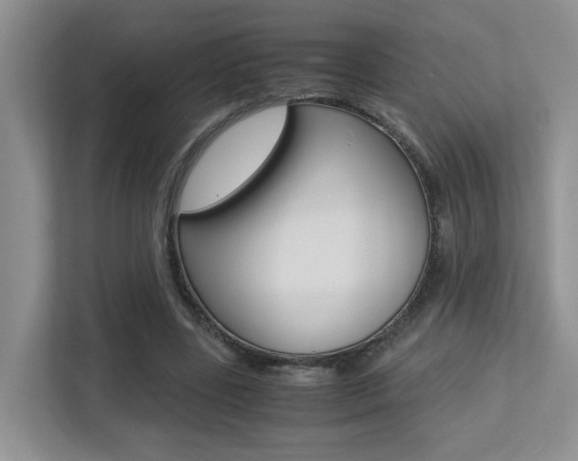 X0000113250539200909100945