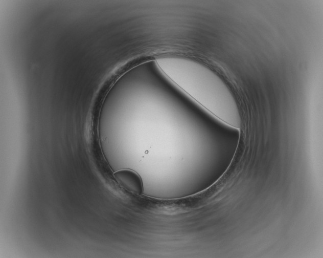 X0000113250540200909100945