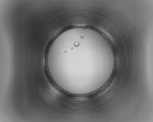 X0000113250541200909100945