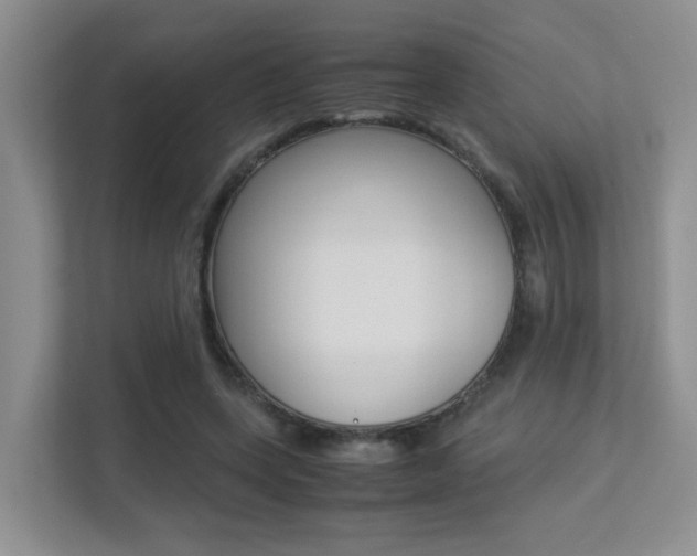 X0000113250543200909100945