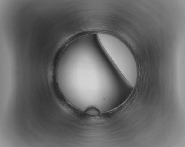X0000113250544200909100945