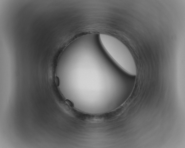 X0000113250546200909100945