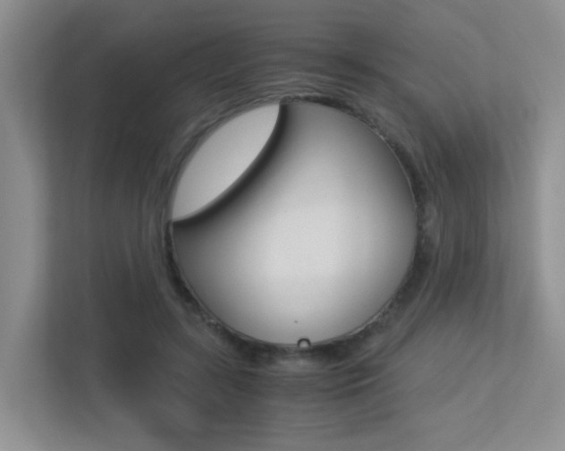 X0000113250547200909100945