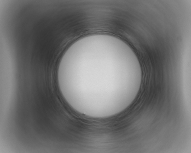 X0000113250548200909100945